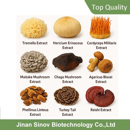 Mushroom Extract