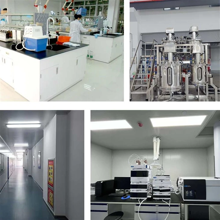 Ambroxane manufacturers