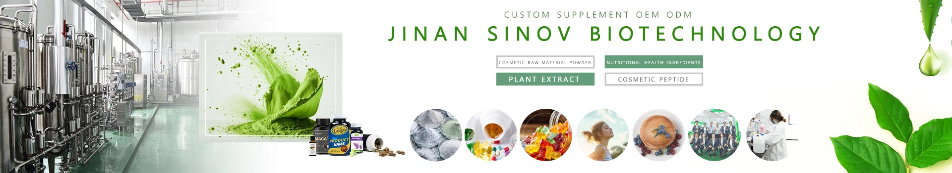 bulk extract powder factory