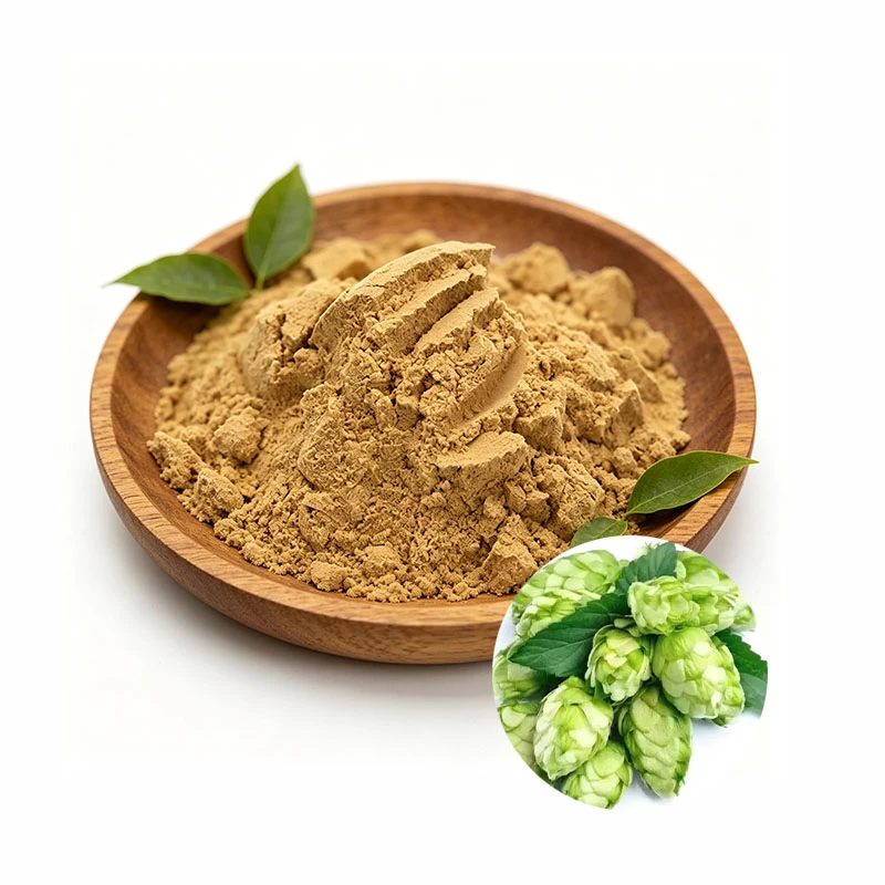 High Quality Hops Extract powder High Quality Hops Extract powder