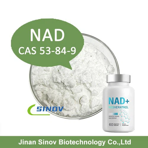 HOT SALE NAD+ HOT SALE NAD+