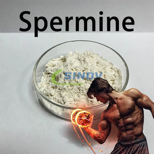 high quality spermine powder high quality spermine powder