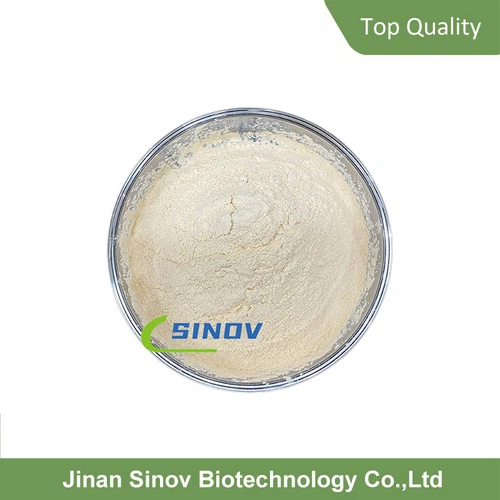 info-800-800 info-800-800