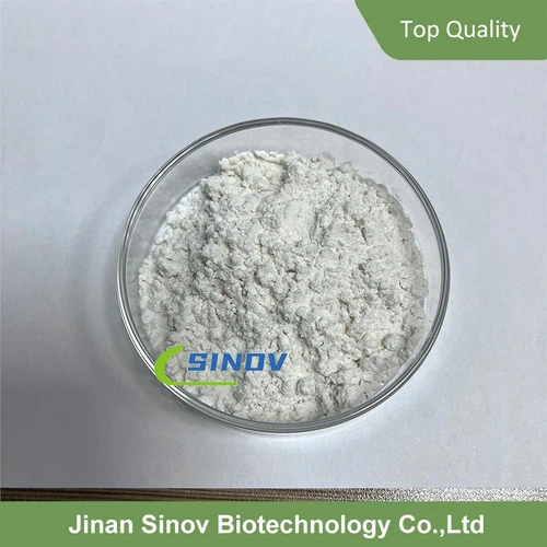 info-800-800 info-800-800