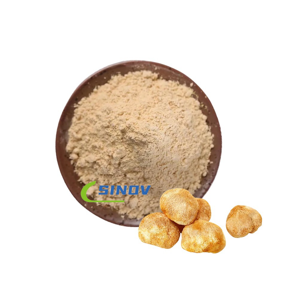 Organic Lions Mane Extract Powder