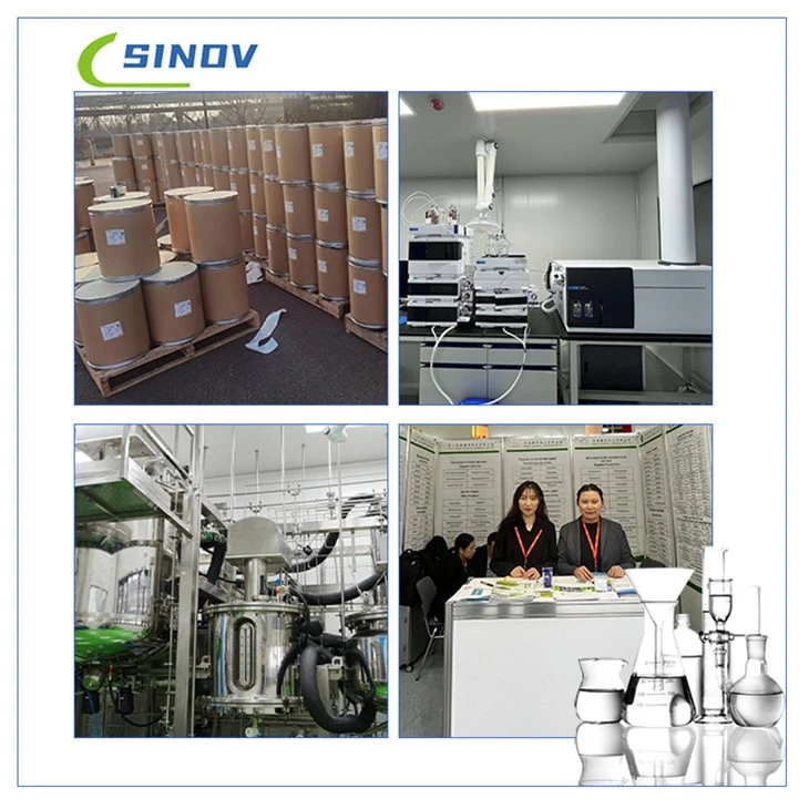 Rhizoma Coptidis Extract Powder factory