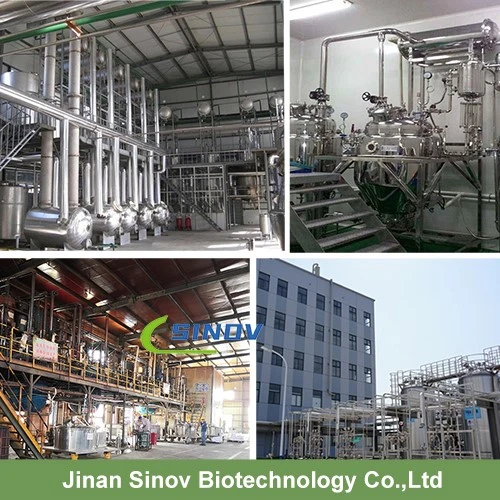 Cordyceps Militaris Extract factory Cordyceps Militaris Extract factory
