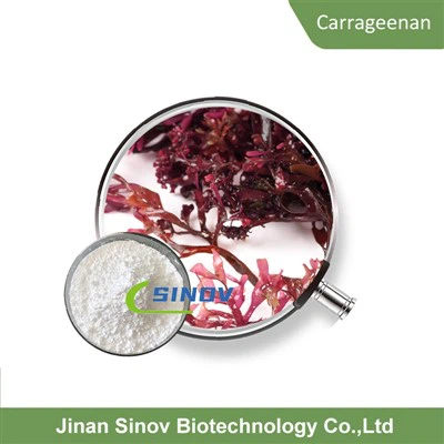 Carrageenan Powder Skin