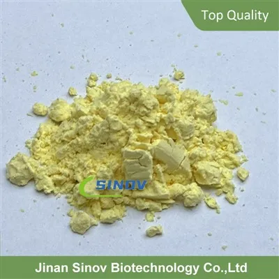 Dihydroberberine Powder