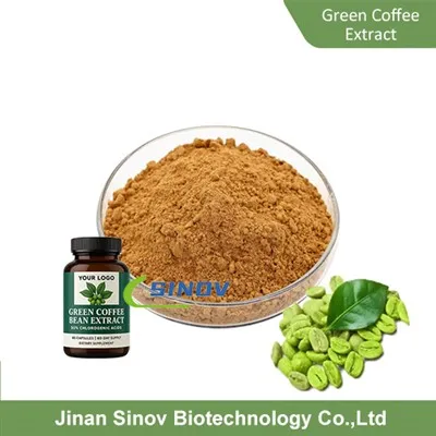 Green Coffee Extract Powder