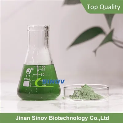 Matcha Green Tea Powder